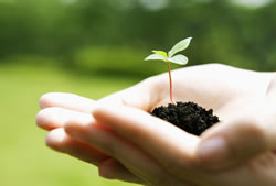 Income Protection Cover